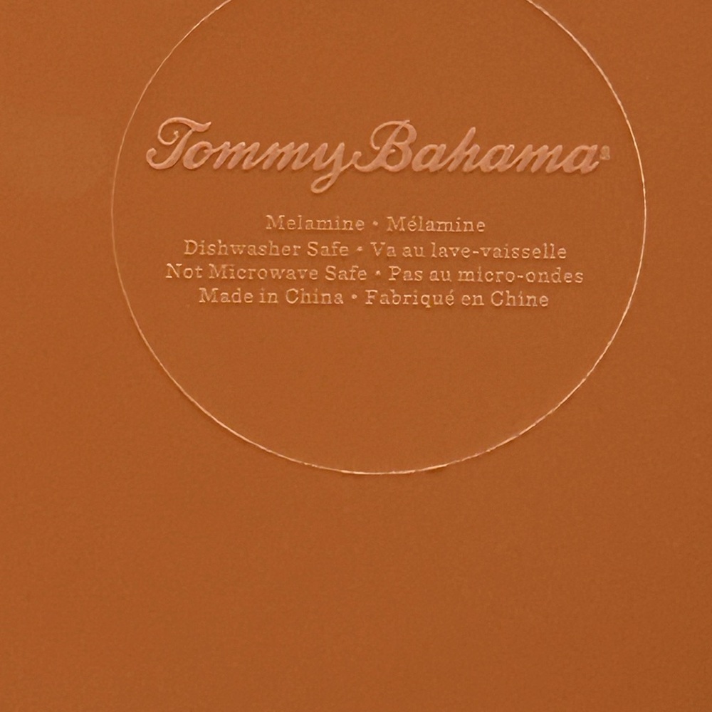 Tommy Bahama Set Of 4 10 1/2” Blue Medallion Melamine Dinner Plates. Pre Owned - Picture 7 of 7